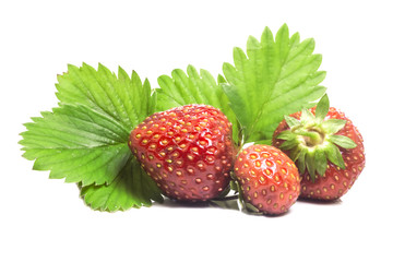 three juicy ripe strawberries from the garden with green leaves
