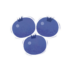 Set of blueberries