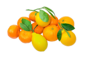 Several mandarin oranges, lemons and oranges on a light background