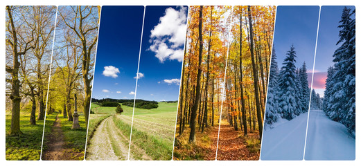 Four season collage from shots with roads in landscape
