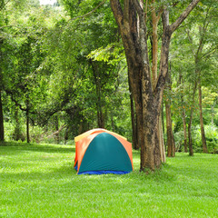 Outdoor tent, forest campsite