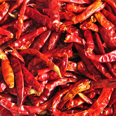Closeup of dried chili, food ingredient