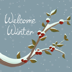 Winter branch with red berry and leaf, covered with snow. Illustration for Christmas - 127270300