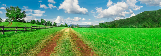 beautiful natural green grass field with dirty road pathway under blue sky and cloud,panorama landscape. - Powered by Adobe
