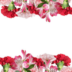 Beautiful floral background of red and pink carnations 
