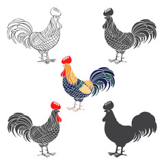 Fototapeta na wymiar Rooster. Rooster- animal symbol of new year 2017. Vector set illustration, isolated elements for design.