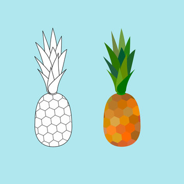 pineapple contur and color