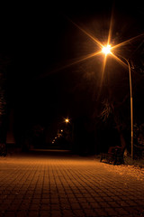 Autumn night landscape in the park