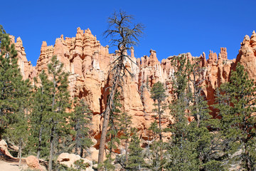 Bryce Canyon, Utah