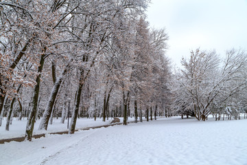 городской парк зимой