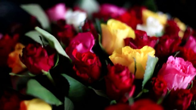 Bouquet of colorful roses on black background. 1920x1080
