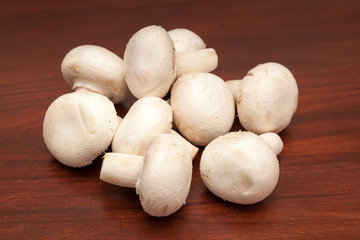 fresh champignons