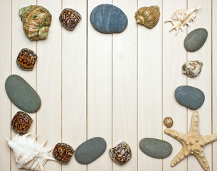 Frame photos of seashells