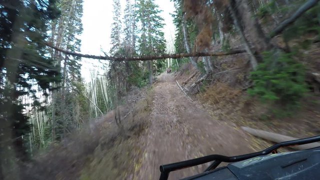 Pine forest mountain trail off road recreation POV. Seasonal Autumn colors exploring high mountain roads and trails. Riding sports utility vehicle UTV 4x4 4 wheel drive ATV high ridge and valley.