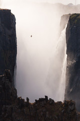 Victoria Falls. First Gorge