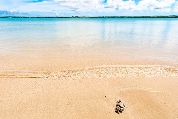 Beach, crab, landscape. Okinawa, Japan, Asia.
