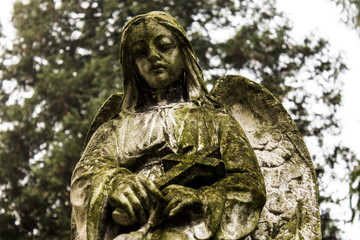 Angel old statue