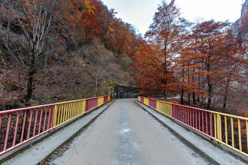Fototapeta premium Mountain road in autumn