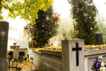 Old graves and fog. The main cemetery in Przemysl, Poland. The main municipal cemetery - founded...