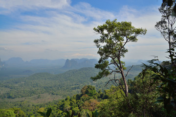Obraz premium View of the Fields and Mountains in Thailand from high Top