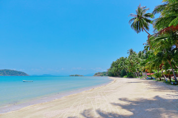 Obraz na płótnie Canvas sand beach on an island in Thailand