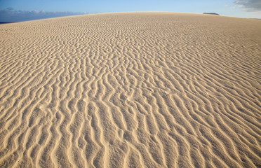Obraz premium Low evening light in Dunes of Corralejo