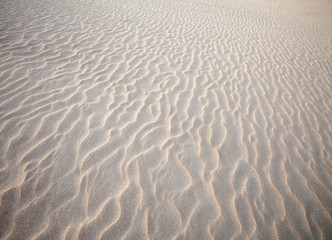 Low evening light in Dunes of Corralejo