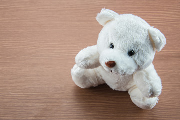 White Teddy Bear toy on a wooden