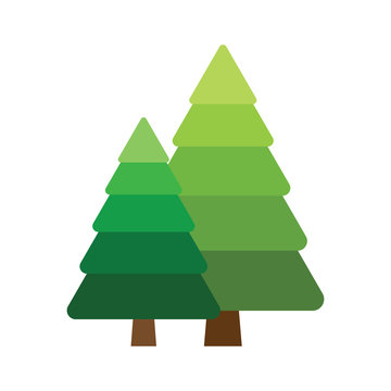 Two fir tree