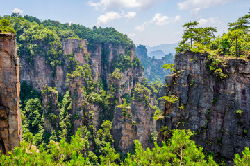 Sandstone columns in Zhangjiajie national park, China