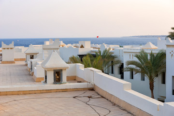Roof of houses in аrabic style with white walls and palm trees
