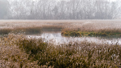 Jesień nad Narwią © podlaski49