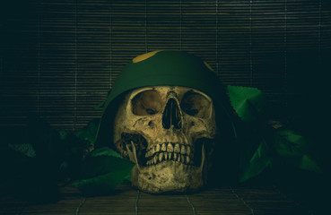 Still life skull and death of the soldier leaf and wood background concept Halloween day dark tone