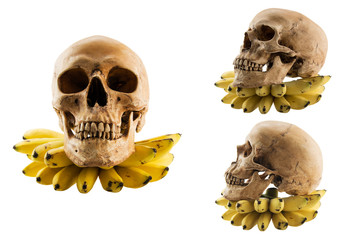 Skull on banana fruit isolated white background,Concept Halloween joke
