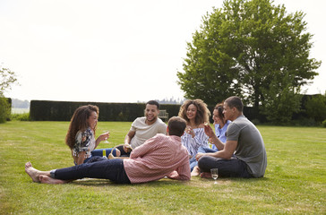 Naklejka premium Group of friends having a picnic, full length, low angle