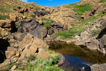 Rocky alpine tundra with stream and pond