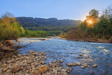 The rocky shore of a mountain river. The rays of the setting sun shining through the tree branches.