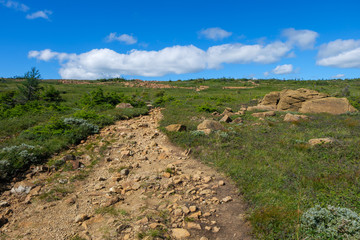 Rocky trail through alpine tundra