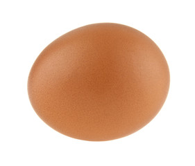 chicken egg
