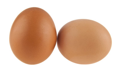 chicken egg