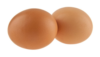 chicken egg