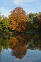 Autumn colours