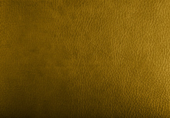 Fototapeta premium Golden leather texture