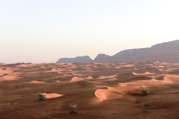 Fototapeta na wymiar Sand desert with morning sun rays