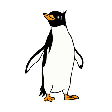 Cute penguin on a white background.