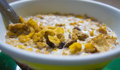 Corn Flakes and Milk