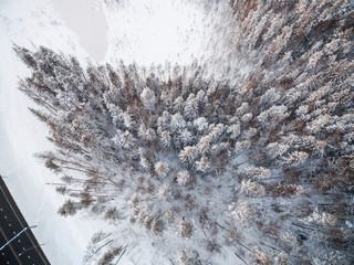 Snowy winter forest with a bird's eye view