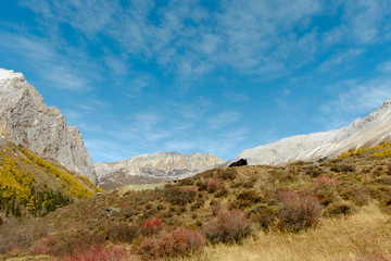 Yanding Nature Reserve, Tibent call this land Nyiden, China