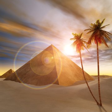 sun over the pyramids. desert and palm trees.