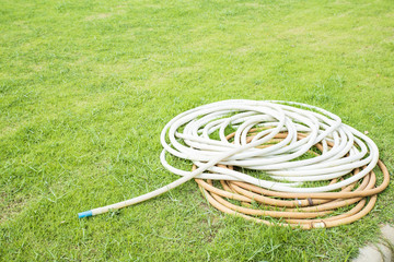 Water rubber band for gardening in the grass ground